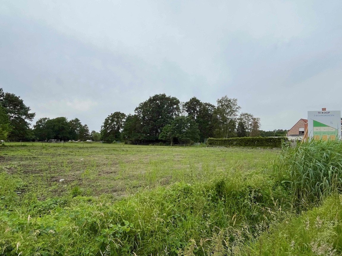 Terrain à vendre à Begijnendijk - photo 4