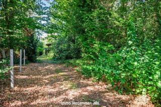 <p><span>Op een uitzonderlijk idyllische en residentiële locatie te Keerbergen, verscholen in het groen en gelegen in een rustige doodlopende straat nabij het golf- en meerdomein, bevindt zich deze grondig te renoveren woning. De woning, gelegen op een royaal perceel van 2.000 m², werd opgetrokken in 1953 en is grotendeels vergund geacht. </span></p><p><span>De ligging vormt zonder twijfel één van de grootste troeven: rustig en residentieel, omgeven door groen, en toch op korte afstand van de voorzieningen van Keerbergen.</span></p>