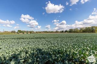 VRIJSTAANDE LANDELIJK GELEGEN TE RENOVEREN STEVIGE WONING op een mooi perceel van 980 m² dit pand is door zijn locatie en mogelijkheden, een...