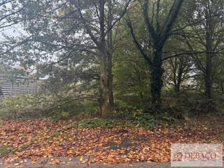 Terrain à vendre à Grobbendonk