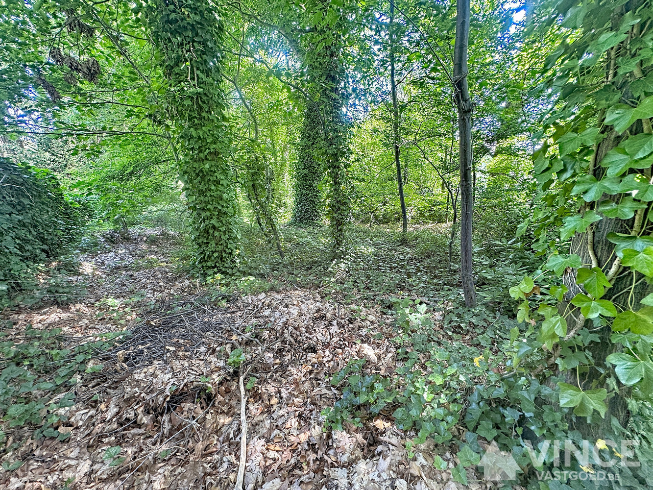 Terrain à vendre à Brasschaat - photo 4