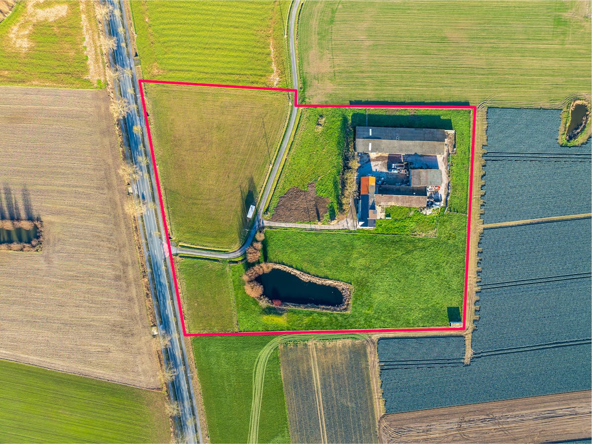 Te renoveren hoeve met potentieel te koop in Voormezele - foto 3