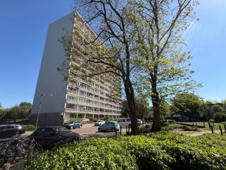 Apartment for rent in Antwerp