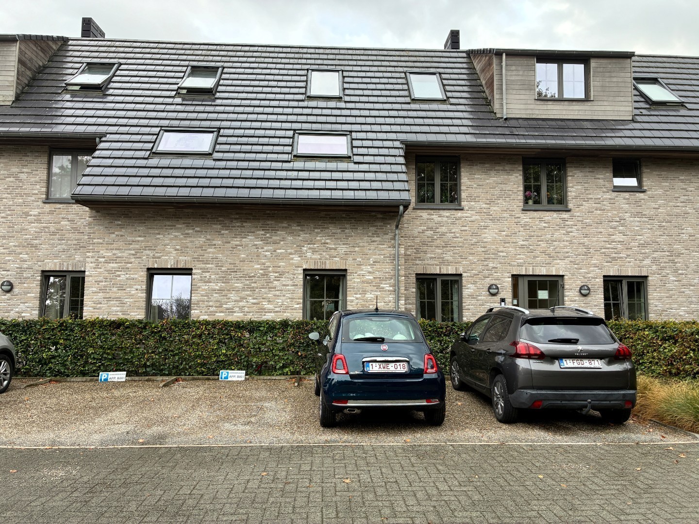 …