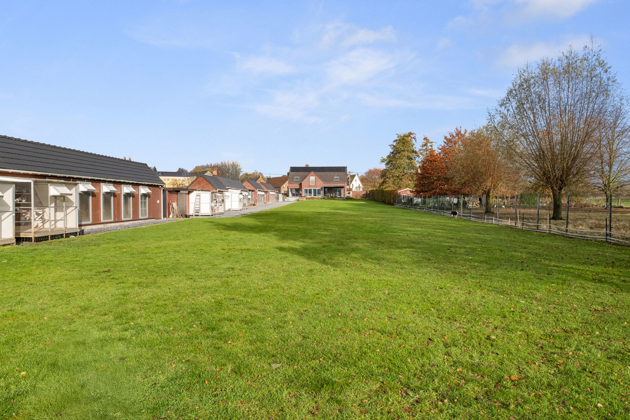 Rustig gelegen recente villa met zicht op de Kluisberg. - foto 4