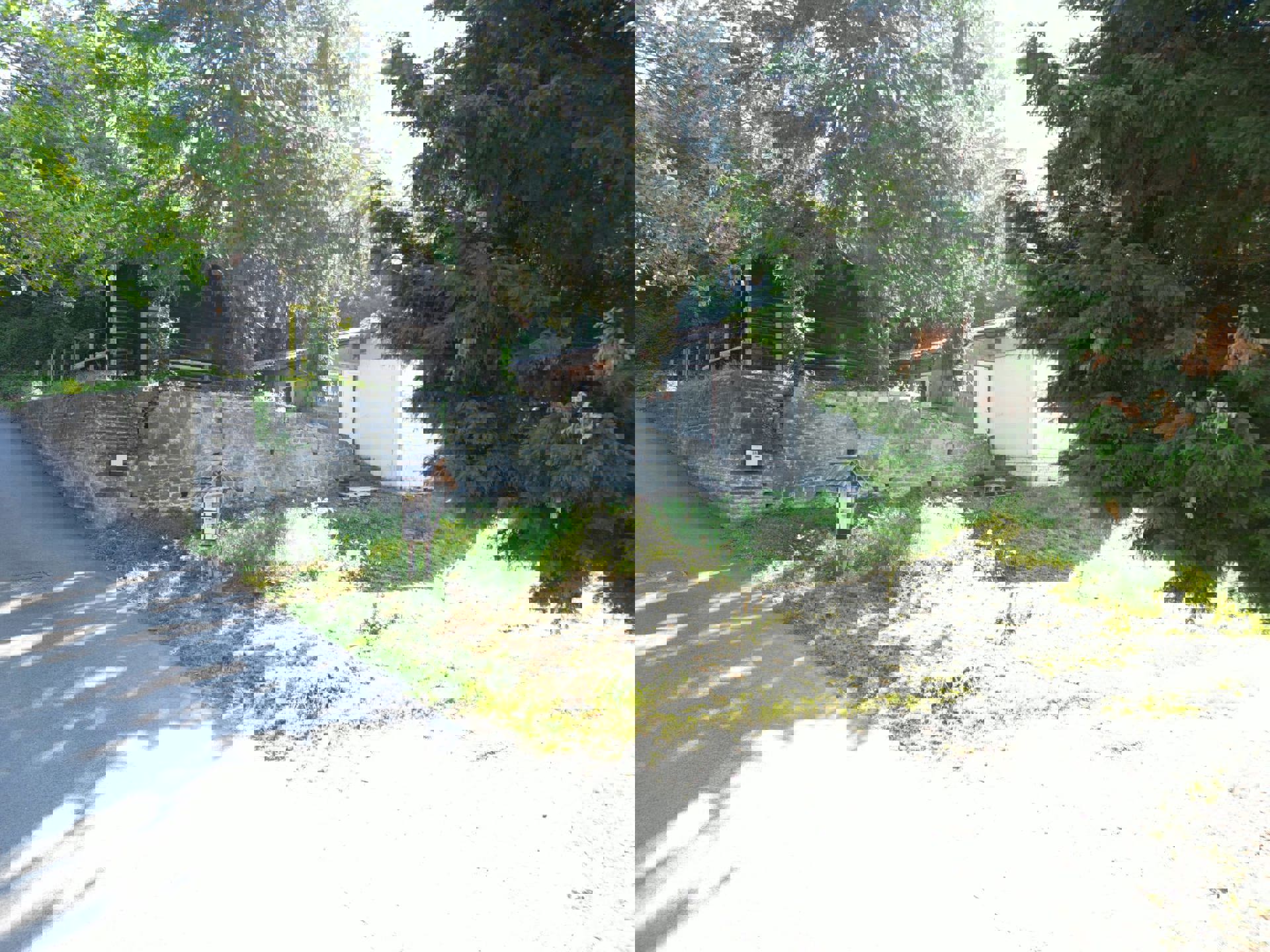 Grond te koop in Ampsin - foto 5