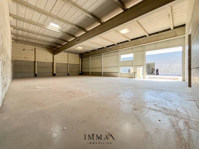 Project te koop in Brugge