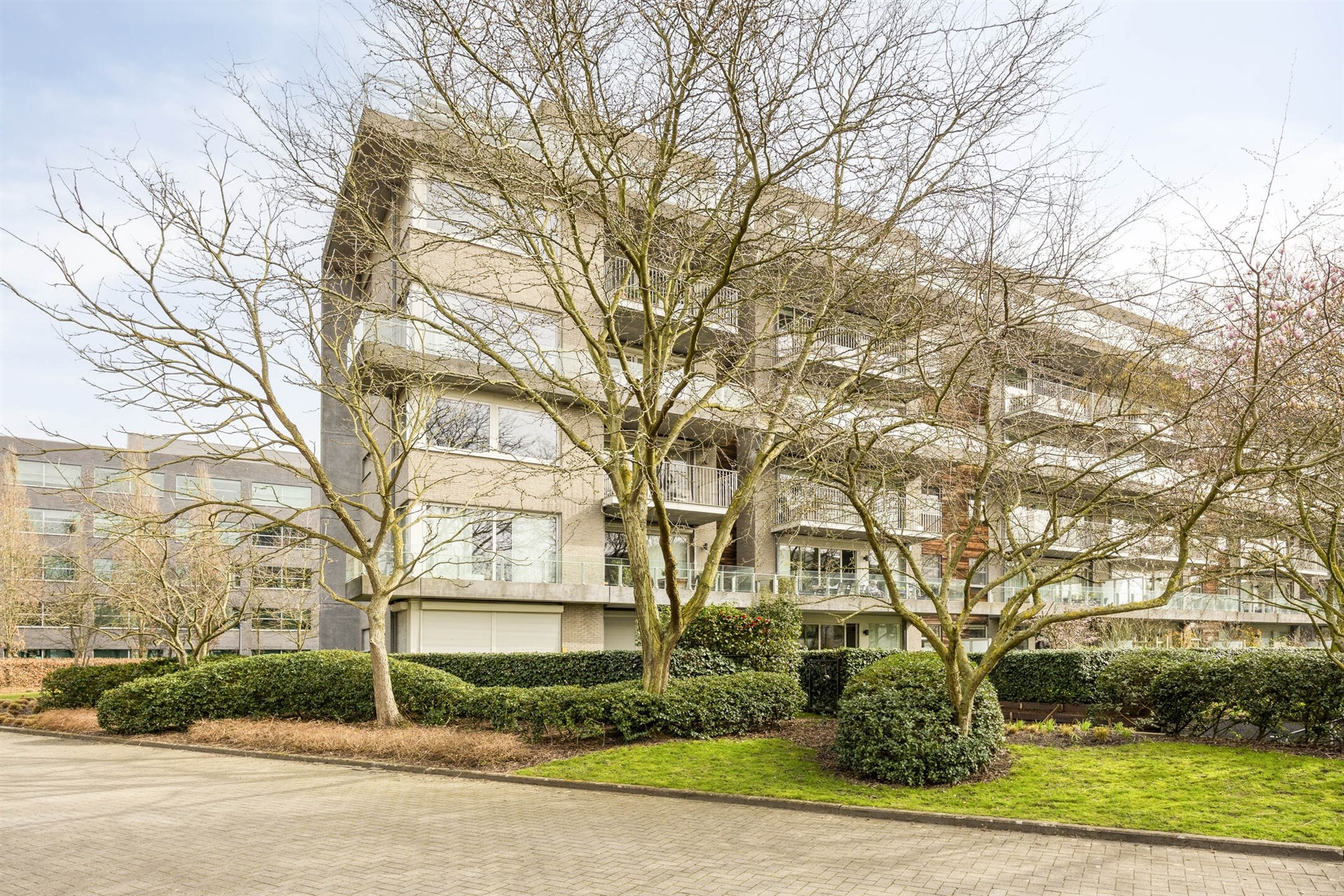 Appartement met 3 slaapkamers te koop in Berchem!  - foto 3