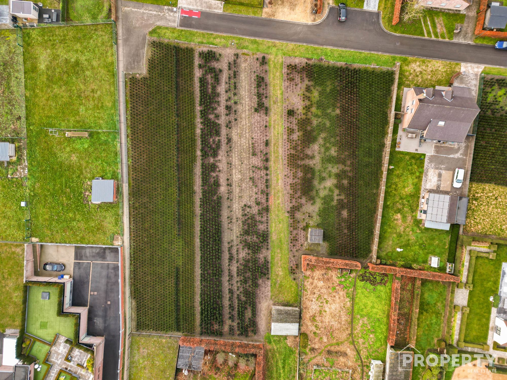 Bouwgrond Te koop in Zwevezele! - foto 4