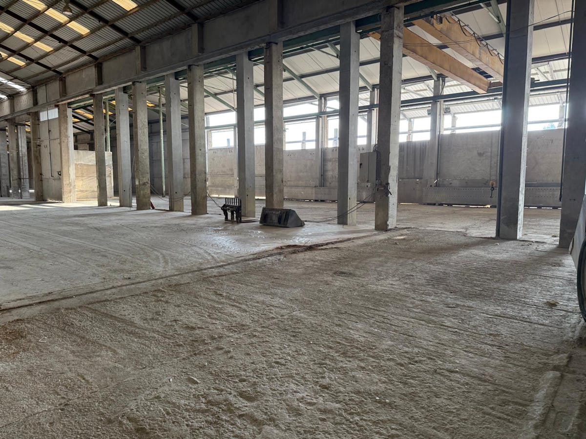 Magazijn (4.214 m²) met kantoor en buitenruimte te huur Aalter - foto 4