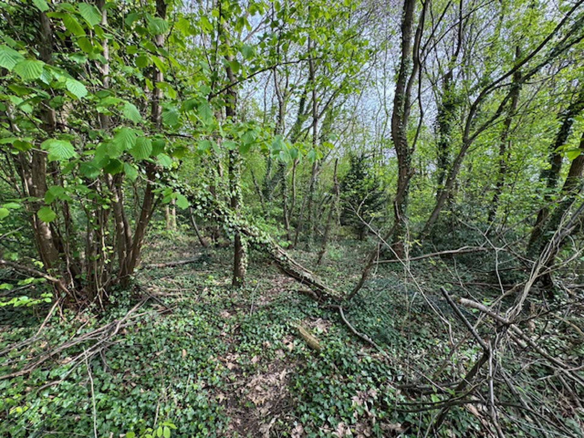 Bouwgrond voor open bebouwing (79 meter straatbreedte) - foto 5