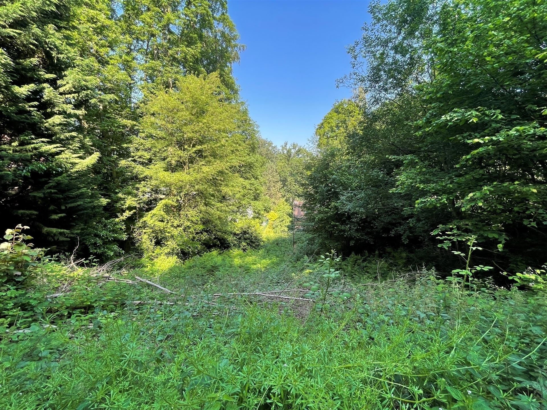 Land for sale in Hennuyères - photo 5