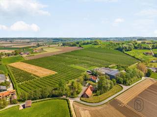 Deze unieke eigendom op 18 hectare, topgelegen op de Kwaremont, biedt enorm veel potentieel en bestaat uit:* prachtige omwalde hoevewoning (in de...