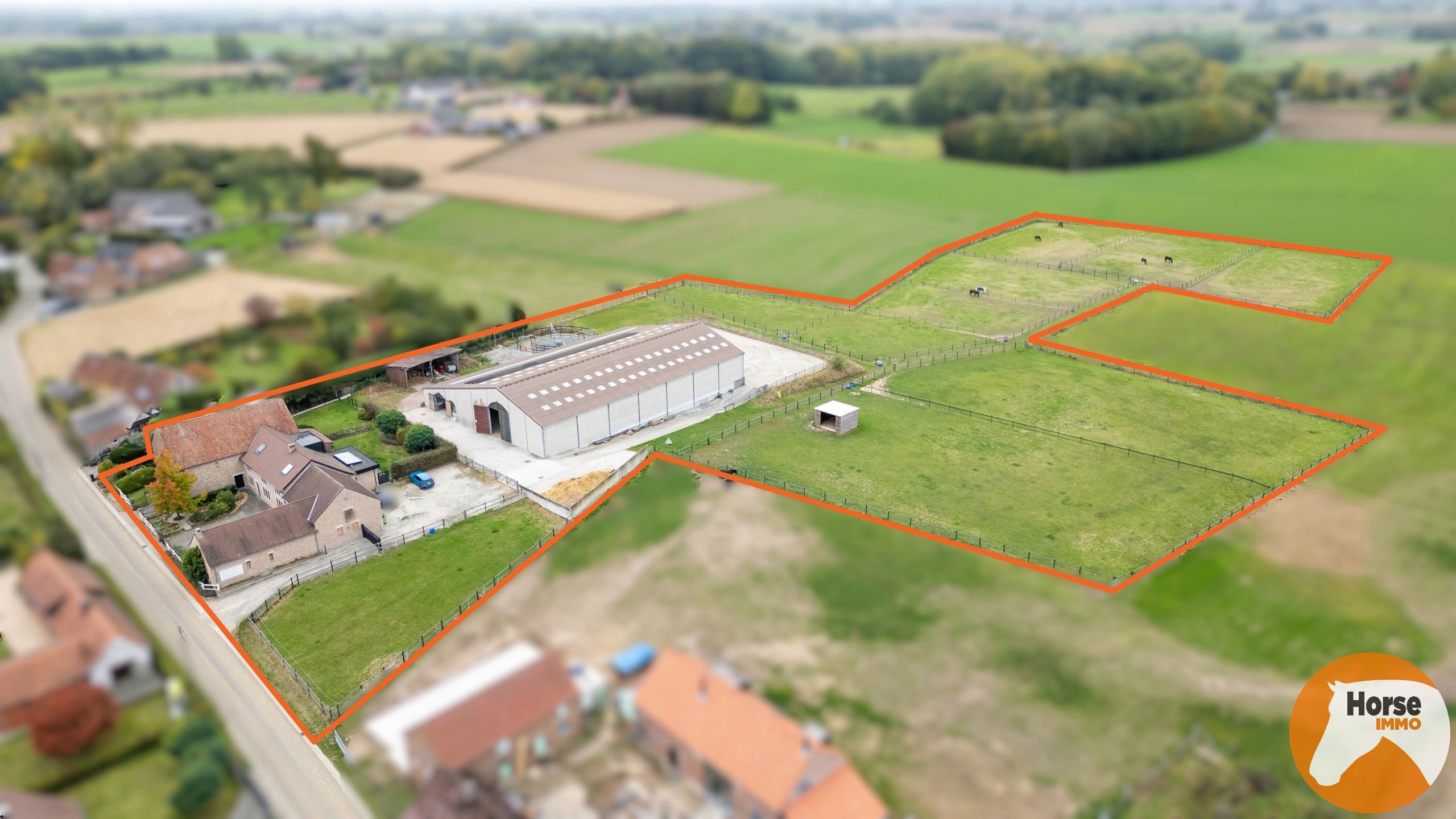 HERNE - Paardenaccomodatie met woning op 2,4ha - foto 1