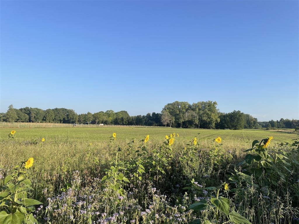 Unieke bouwgrond op een prachtige locatie! - foto 2