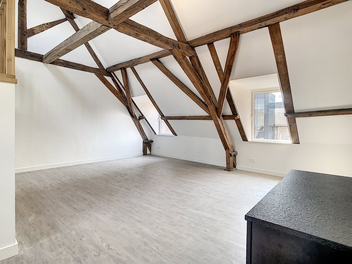 Schitterend duplexappartement met 2 slaapkamers te Gent - foto 4