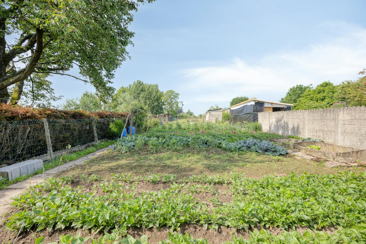 Unieke kans! Gerenoveerd huis te koop in Mater (Oudenaarde) - foto 2