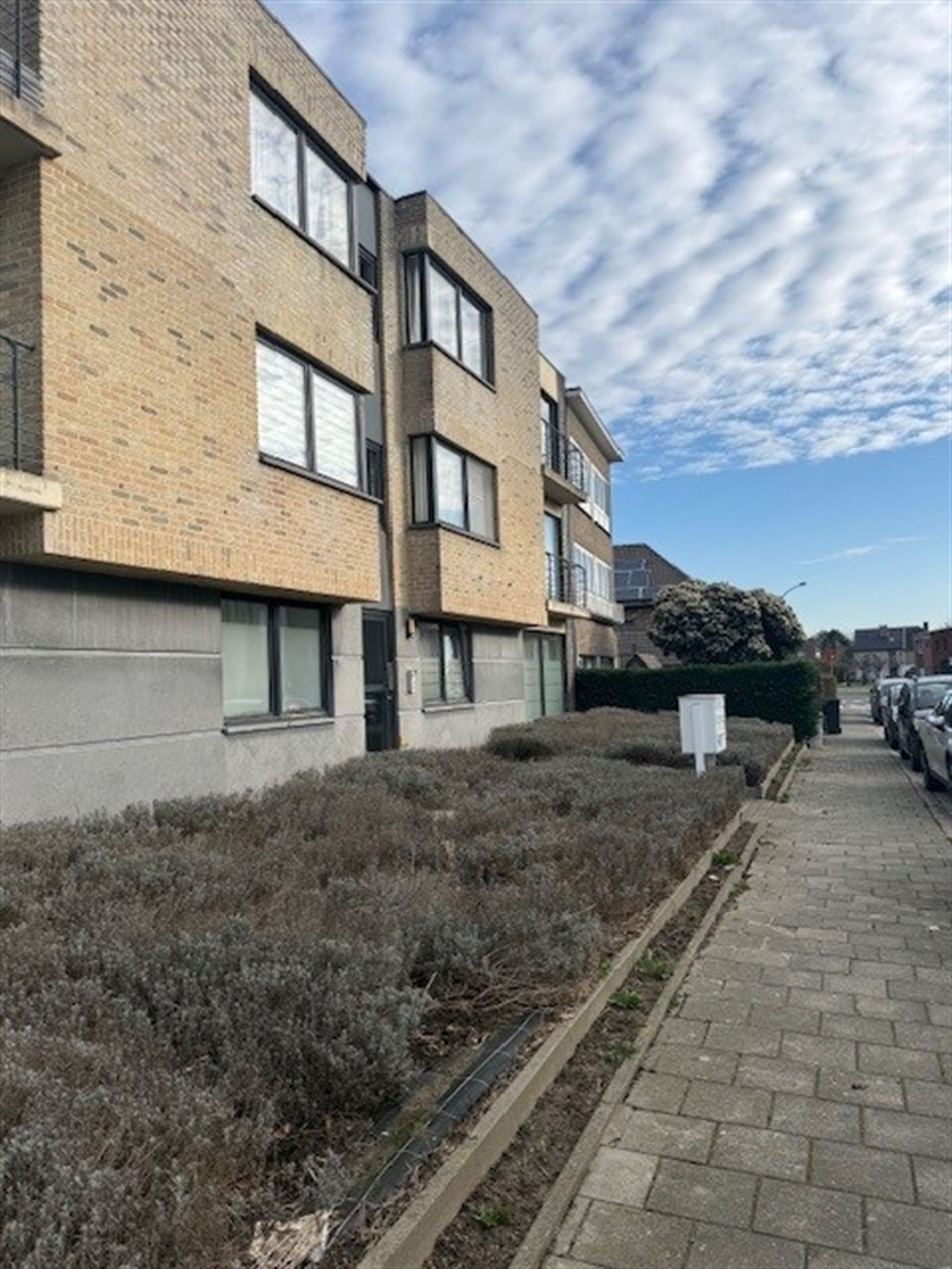 :Woningtype te :Stad