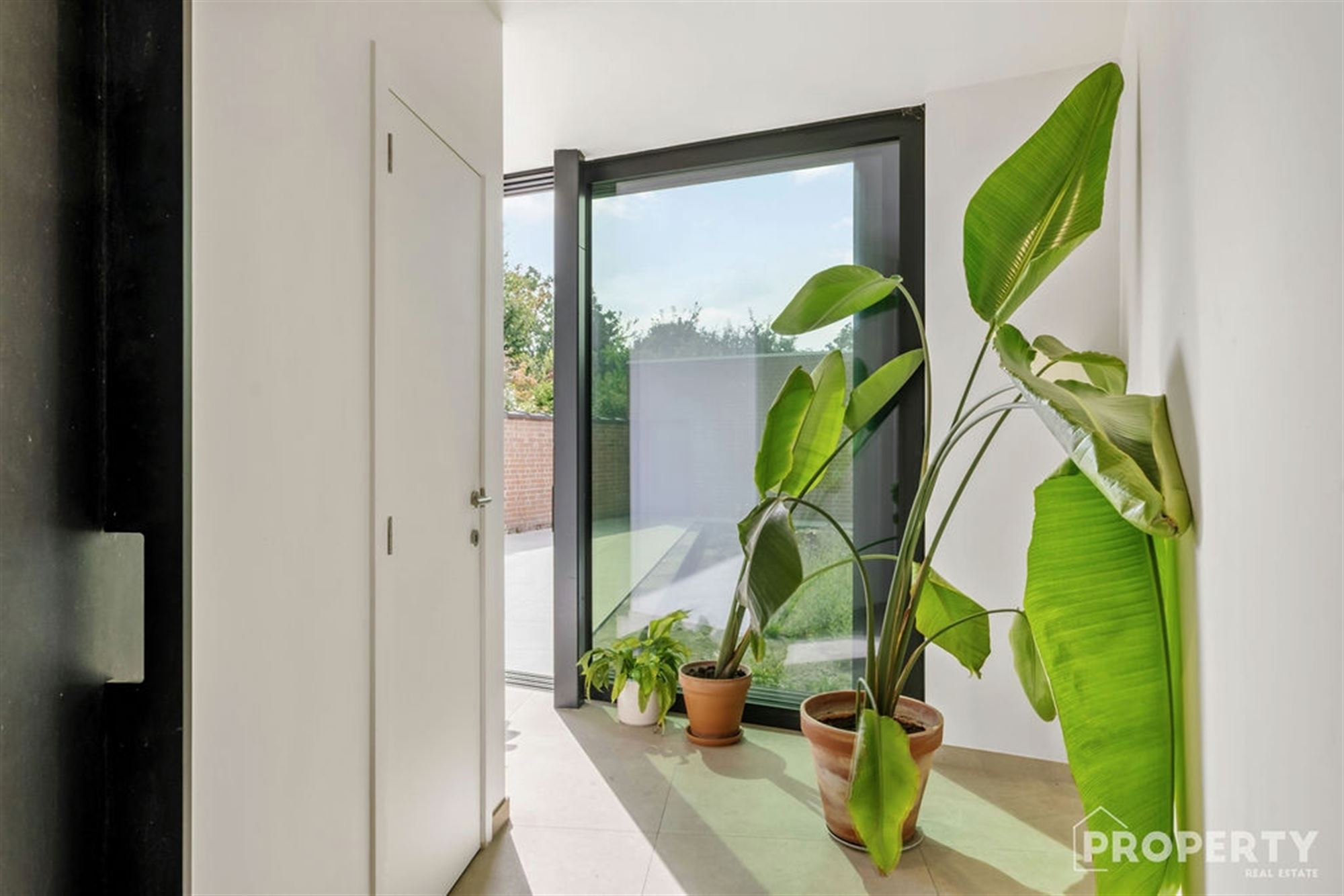 House - photo 4
