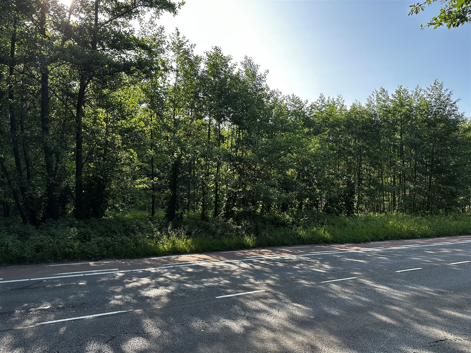 Terrain à vendre à Beringen - photo 4