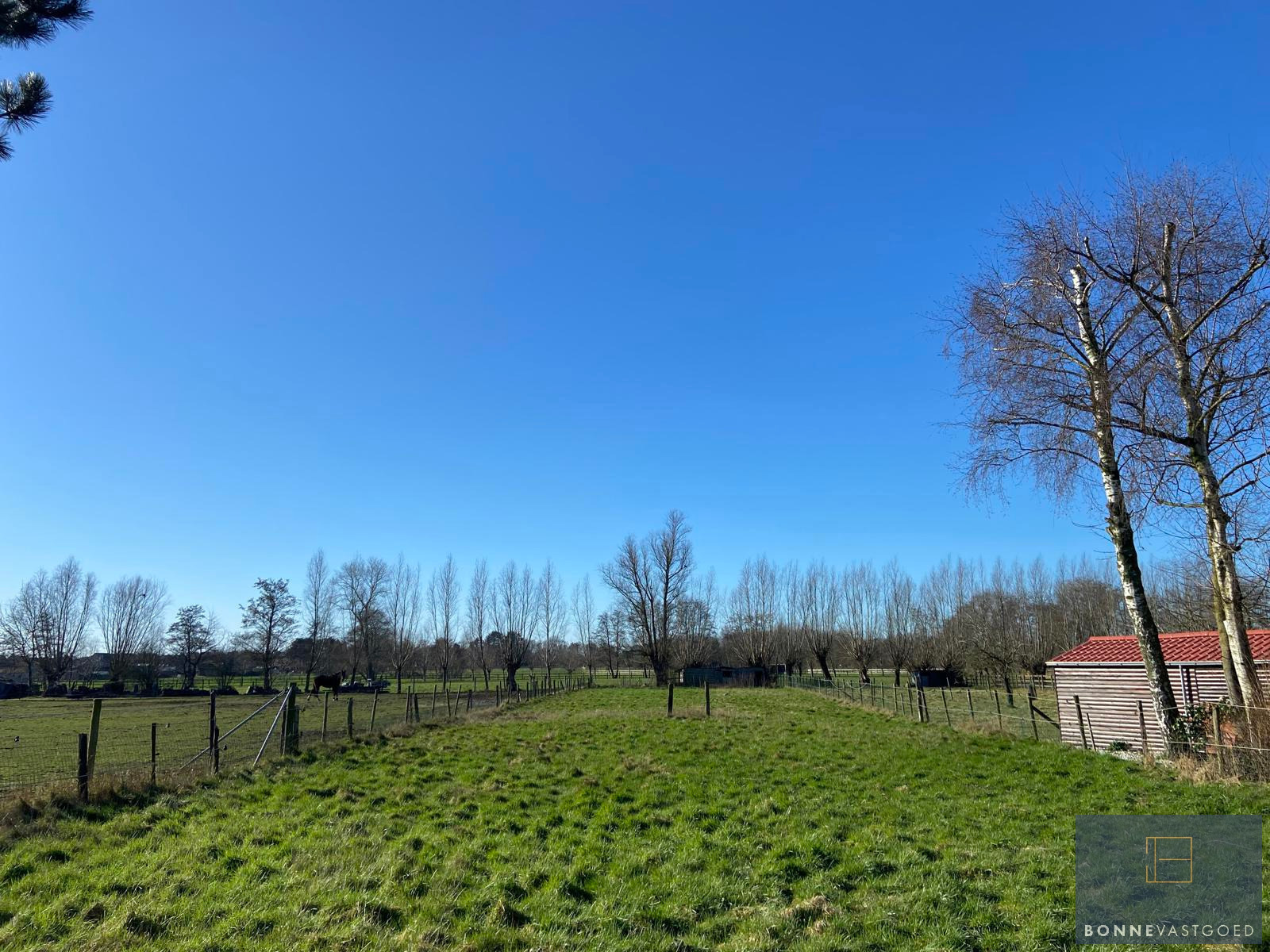 ZUIDGERICHTE bouwgrond met AANPALENDE WEIDE - foto 5