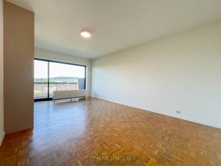 Te huur, instapklaar en energiezuinig appartement met 2 slaapkamers op topligging in RonseOp een uitstekende locatie in het hart van Ronse bevindt...