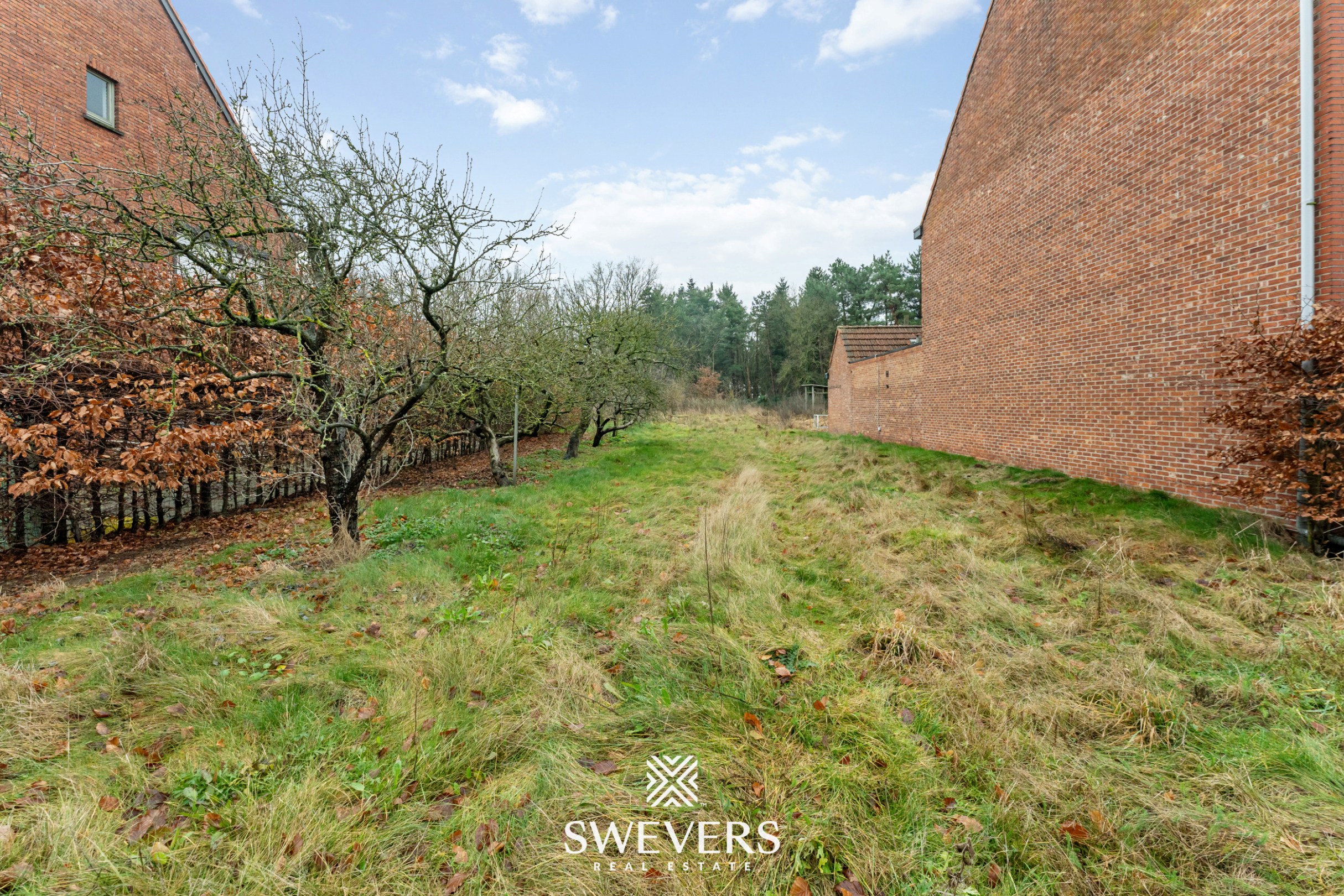 Land for sale in Beringen - photo 3