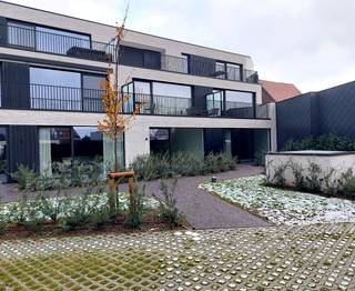 Apartment for rent in Wielsbeke