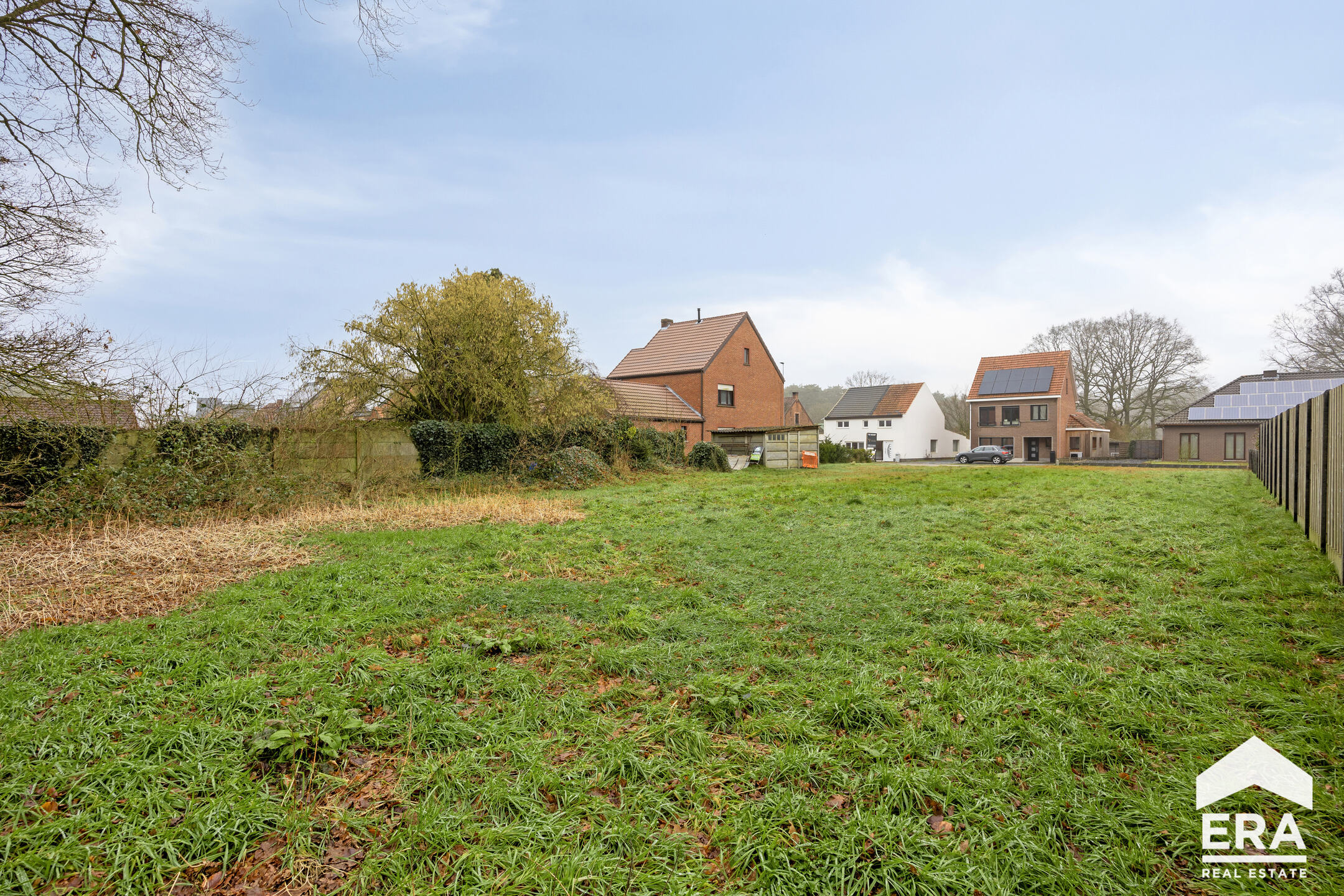 Land for sale in Olmen - photo 3