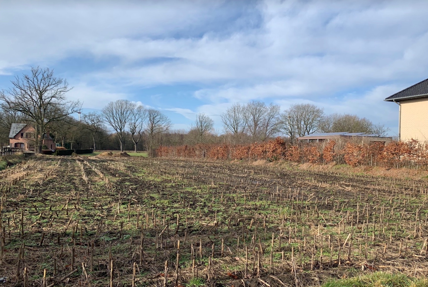 Land for sale in Olmen - photo 5