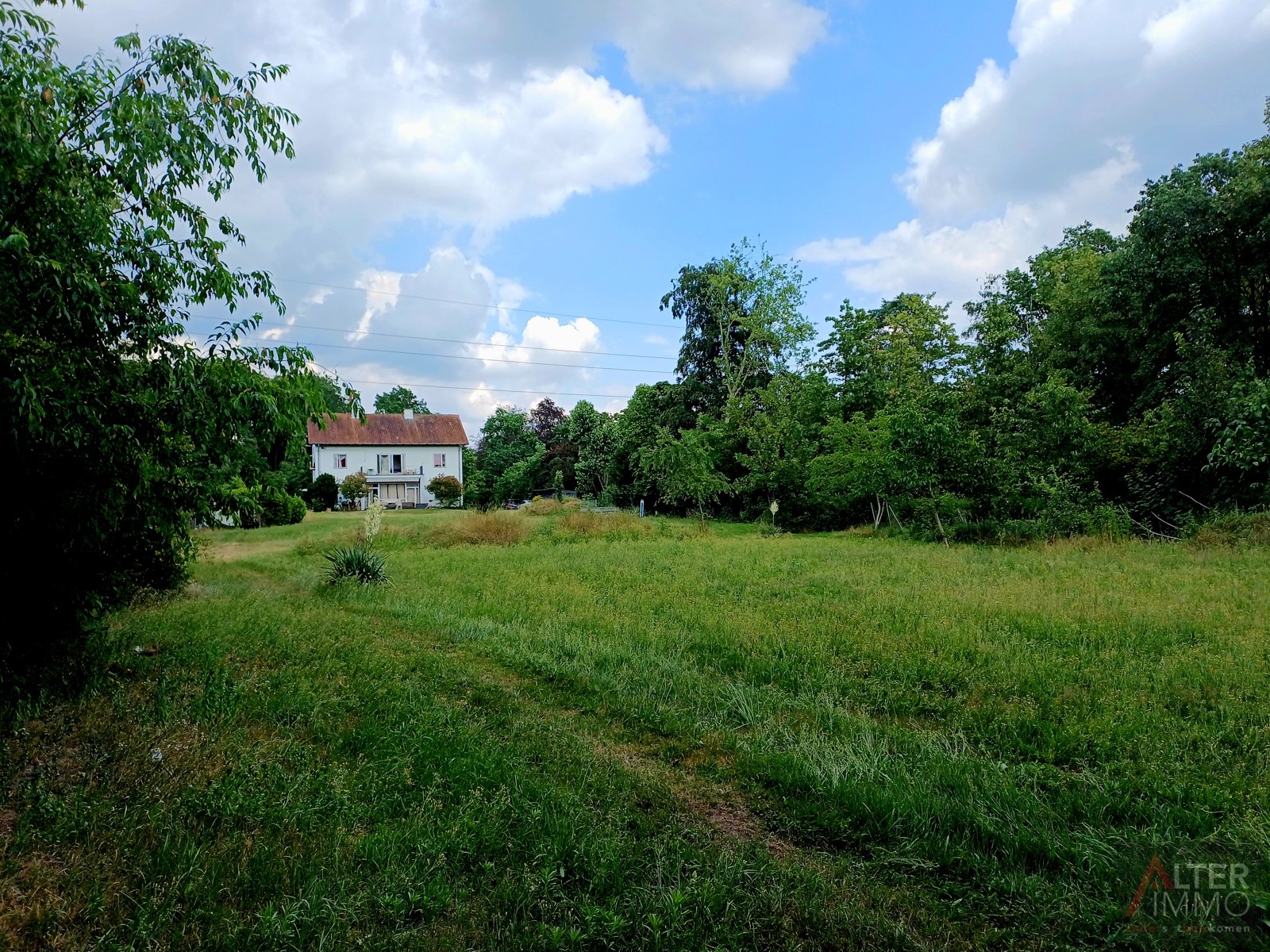Maison à vendre à Houthalen-Helchteren avec 5 chambres - photo 4