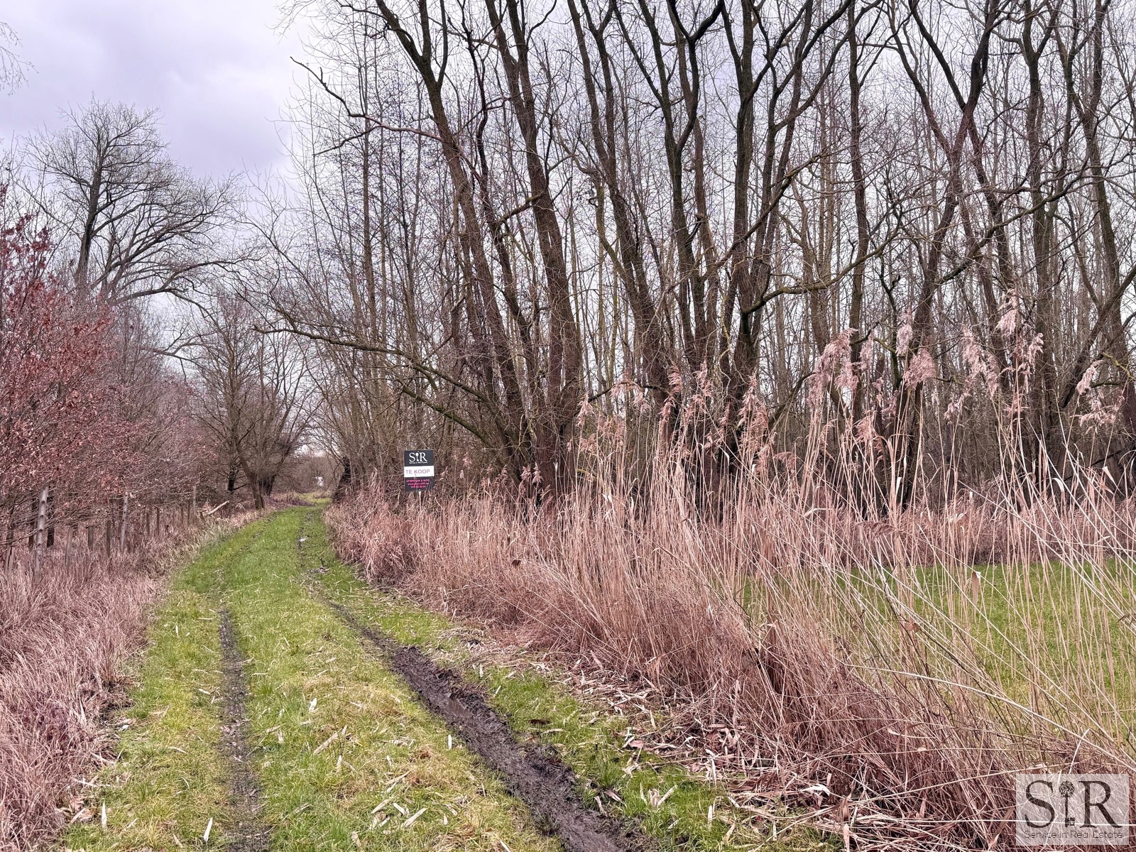 Land for sale in Zemst - photo 5