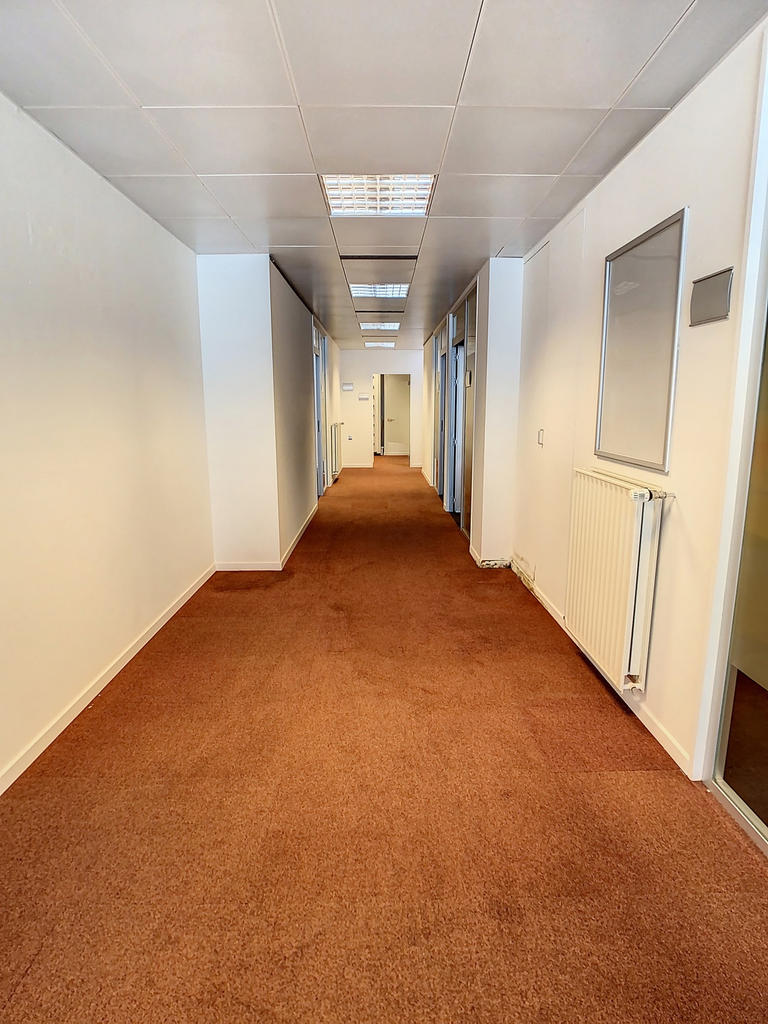 Handelspand op toplocatie in Denderhoutem - foto 4