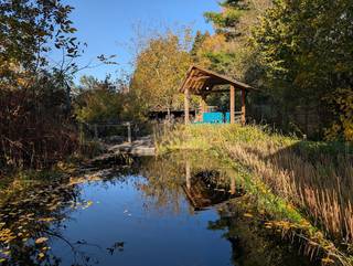 Op zoek naar ruimte, comfort en rust? Ontdek deze energiezuinige woning (EPC B) op een royaal perceel van 865 m². Ideaal gelegen in het hart...