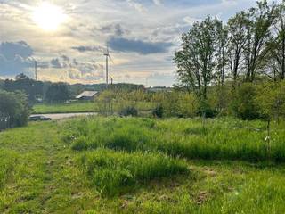 Land for sale in Bekkevoort