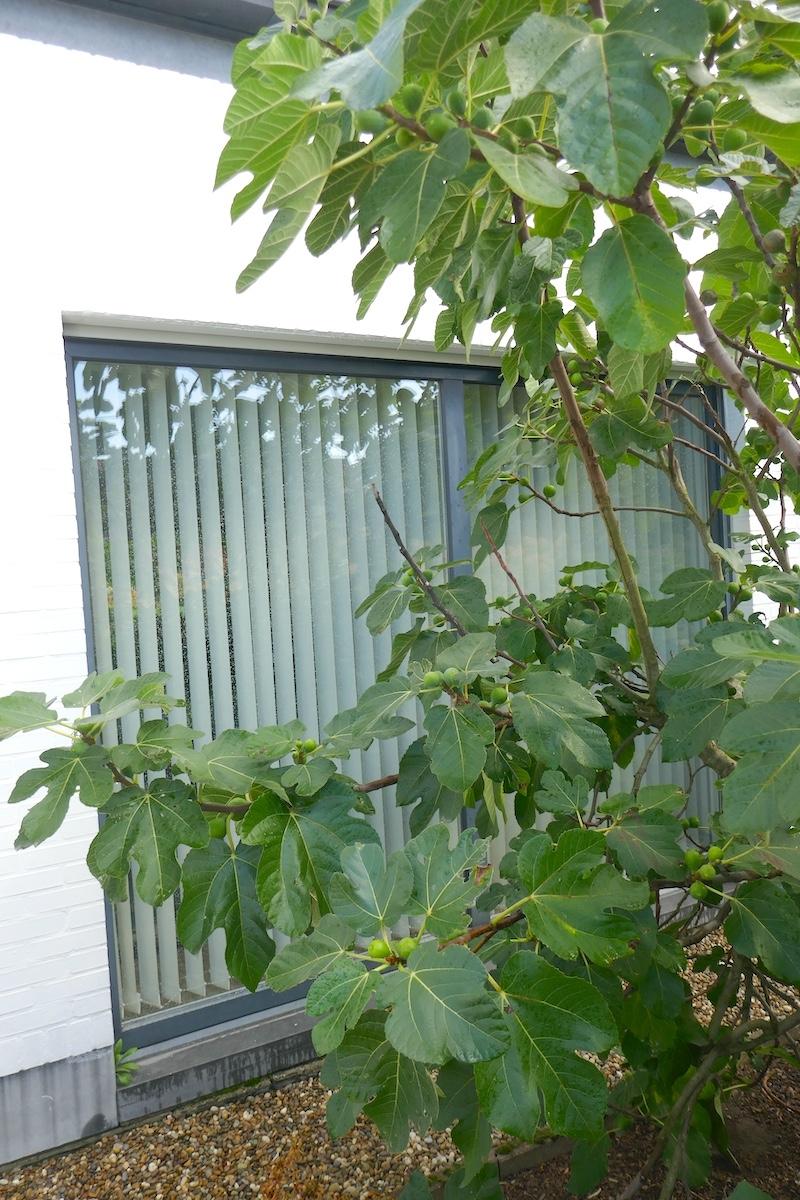 Maison à vendre à Beerse avec 2 chambres - photo 3