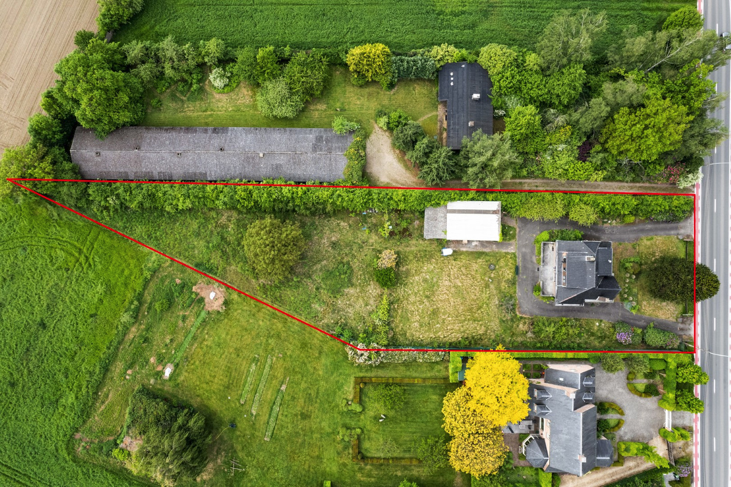 RIANTE WONING OP PRACHTIG PERCEEL VAN 3.280 m²! - foto 3