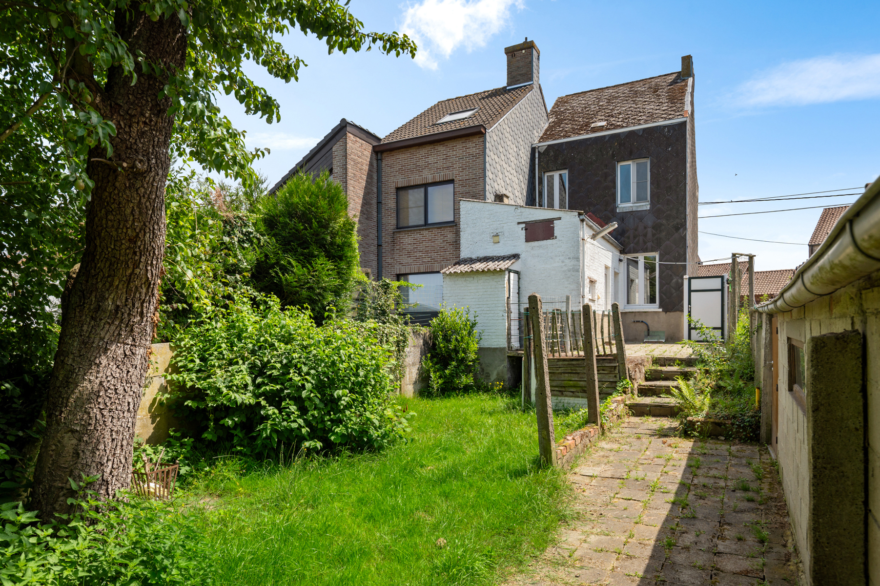 Maison à vendre à Meerbeek avec 4 chambres - photo 3