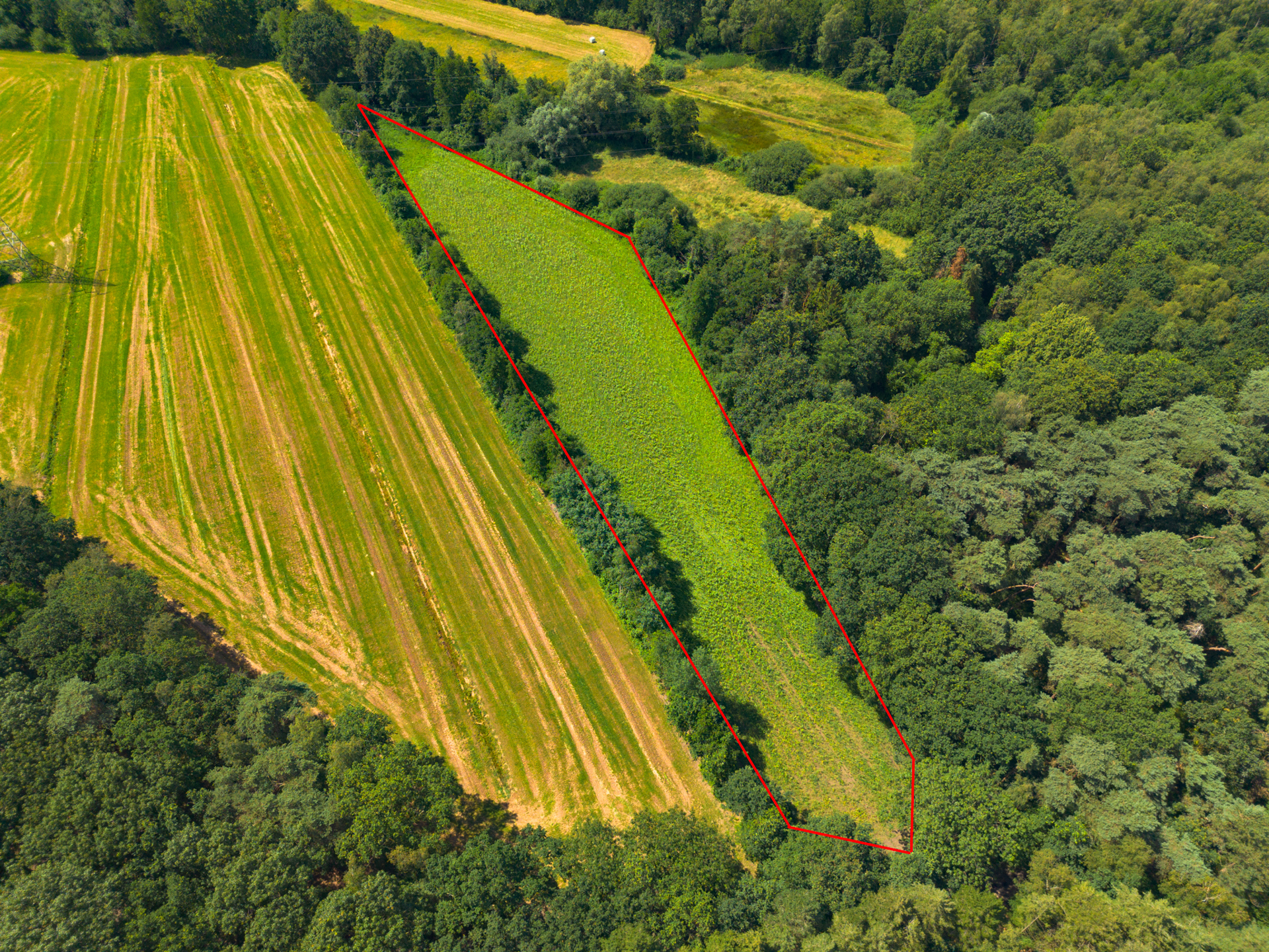 Grond te koop in Geel - foto 4