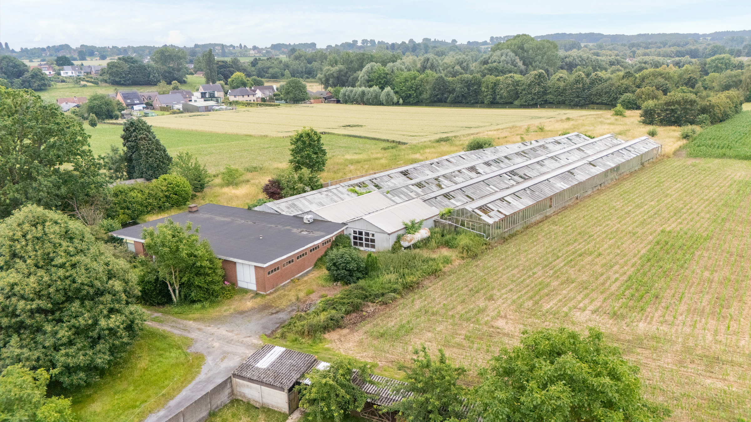 Te koop in Wolvertem: unieke projectsite - foto 5