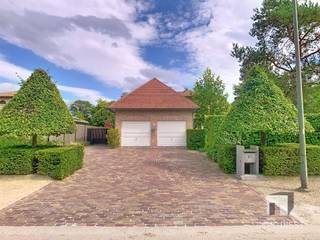 Deze prachtige villa gelegen op de rand van het natuurgebied Gerhagen op 2km van het centrum van Tessenderlo is gelegen op een grondoppervlak van...