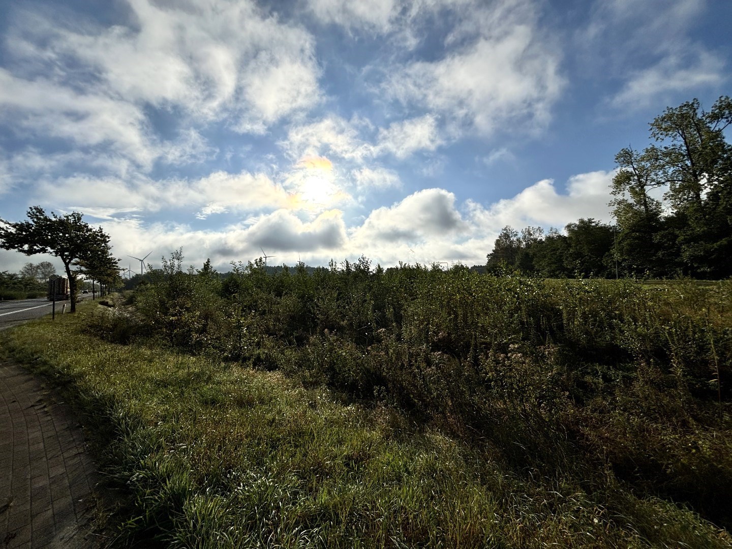 Terrain à vendre à Balen - photo 5