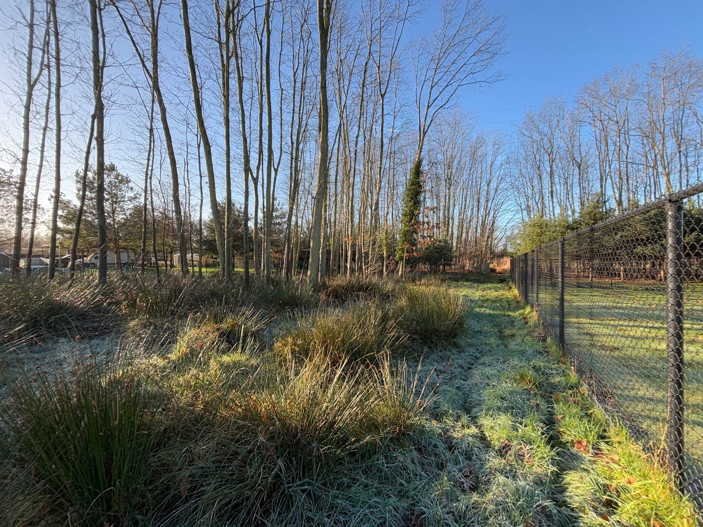 Land for sale in Tessenderlo-Ham - photo 4