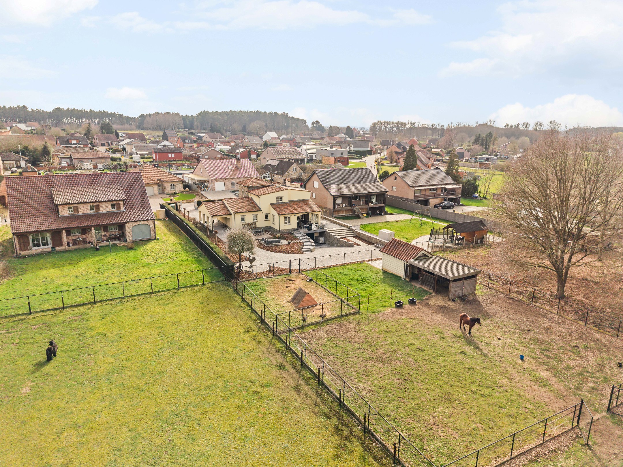 Villa avec des écuries sur un magnifique terrain de 3.761m² - emplacement calme et verdoyant à Scherpenheuvel-Zichem. - photo 3