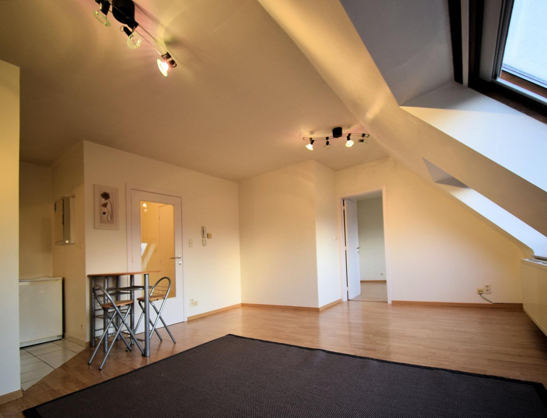 GEZELLIG EENSLAAPKAMER APPARTEMENT - foto 2