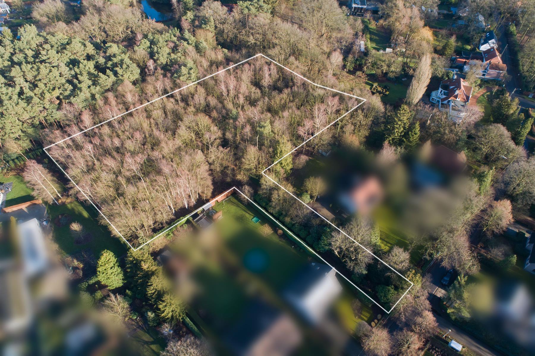 Woonbos voor kleine woning - foto 5