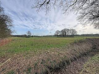 Dit stuk grond van 9396m² is gelegen aan de Leemdreef in Gooreind.Het terrein bevindt zich in landschappelijk waardevol agrarisch gebied.Interesse in dit ruime perceel bouwland?Vraag meer informatie aan via veerle.pierar@dewaele.com of 03/369.42.50.(ver-)Kopen of (ver-)huren in de Noorderkempen?Met vragen kan u altijd bij ons terecht!Dewaele VastgoedBestuursmaatregelen in het maatregelenregister: nee