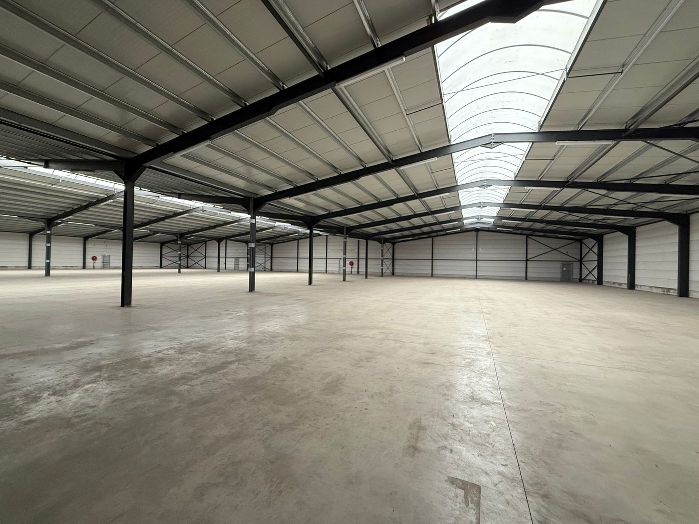 Magazijnruimte van 3.500 m² vlakbij de E40 en R4 - foto 4