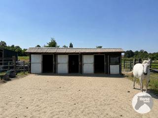 ASSE - Verzorgde paardenaccommodatie op 1,07ha met stallen<br /><br />Op een vlot bereikbare locatie in Asse bevindt zich deze verzorgde accommodatie op een perceel van ca. 1,07 hectare, waar functionaliteit en comfort hand in hand gaan. De eigendom werd met oog voor praktisch gebruik ingericht en biedt alles wat nodig is om uw paarden in een aangename en goed georganiseerde omgeving te huisvesten.<br /><br />De stallen omvatten drie ruime paardenboxen en een zadelkamer/berging. Daarnaast is er ook een handige paddock en een praktische opslagruimte voor hooi en stro. De weide werd opgedeeld in twee afzonderlijke percelen, waardoor een doordacht begrazingsbeheer mogelijk is en het grasland optimaal behouden blijft. Dankzij deze indeling kunnen uw paarden genieten van voldoende ruimte, terwijl u het onderhoud van de weides efficiënt organiseert.<br /><br />Ook op vlak van voorzieningen is aan alles gedacht. De drinkbak is aangesloten op een waterput, zodat uw paarden steeds over koel en vers water beschikken. Daarnaast zorgen drie regenwateropvangvaten, goed voor een totale capaciteit van ongeveer 2.500 liter, voor een duurzame watervoorziening. Verlichting is eveneens aanwezig en kan eenvoudig gebruikt worden door een generator aan te sluiten.<br />De eigendom is te vinden met volgende coördinaten: 50.907514, 4.216432<br /><br />Deze eigendom vormt de ideale plek voor wie zijn paarden wil houden in alle rust.<br />Een zeldzame kans voor wie op zoek is naar een klein paradijs op een unieke locatie.<br /><br />Aarzel niet ons te contacteren voor meer informatie of een bezoek: 053/60.65.66
