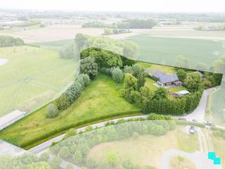 Gelegen in een landelijk gebied en omringd door uitgestrekte velden vinden we deze unieke ééngezinswoning terug.<strong> </strong>De verborgen parel is gelegen op een perceel van 12.816 m² en beschikt over een bewoonbare oppervlakte van 326m² (volgens EPC-attest). Ongeveer de helft van het perceel werd omgezet in bebossing, waardoor het tuinonderhoud een pak interessanter wordt. De woning is volledig onderkelderd en beschikt over een dubbele garage, voorraadkamer en polyvalente (opslag)ruimte. Inkomhal met vestiaire en gastentoilet, woonkamer met fantastisch zicht op de tuin, hyper geïnstalleerde keuken met aansluitend (overdekt) terras en annex berging/wasplaats. Open ruimte boven leefgedeelte, aansluitend de master bedroom met naastliggende slaapkamer die kan omgevormd worden tot badkamer (afvoer en toevoer voorzien). In de andere vleugel van de woning bevinden zich de drie overige slaapkamers en de geïnstalleerde badkamer. Volledig omheinde tuin, riante oprit met geautomatiseerde poort, inrijhelling voor garages in kelder, aparte garagebox, opbouwzwembad met sturing en de gezellige chalet. Het bijgebouw bestaat uit een apart toilet, leefruimte met keuken en aansluitend de slaapkamer met douche en wastafel. CV op aardgas (HR ketel 2021) | HR beglazing aluminium | EPC label B | Warmtepomp (airco) in leefruimte en alle slaapkamers | Zonnepanelen 12.390 Wp. Laurence (BIV 541 501) organiseert voor deze woning de bezoeken, mits het maken van een afspraak.